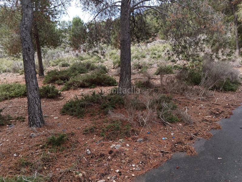 Foto 8d4c22f2-2965-4b64-92da-99bf3cb6a1a9. Finca rústica solvia inmobiliaria suelo urbanizable sectorizado esparragal en Murcia