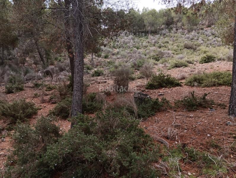 Foto 973462b5-add0-459d-af47-919a20a38bda. Finca rústica solvia inmobiliaria suelo urbanizable sectorizado esparragal en Murcia