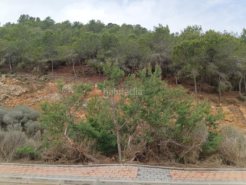 Foto 9750e6bf-5538-4f5d-9218-8078fbfb04c8. Finca rústica solvia inmobiliaria suelo urbanizable sectorizado esparragal en Murcia