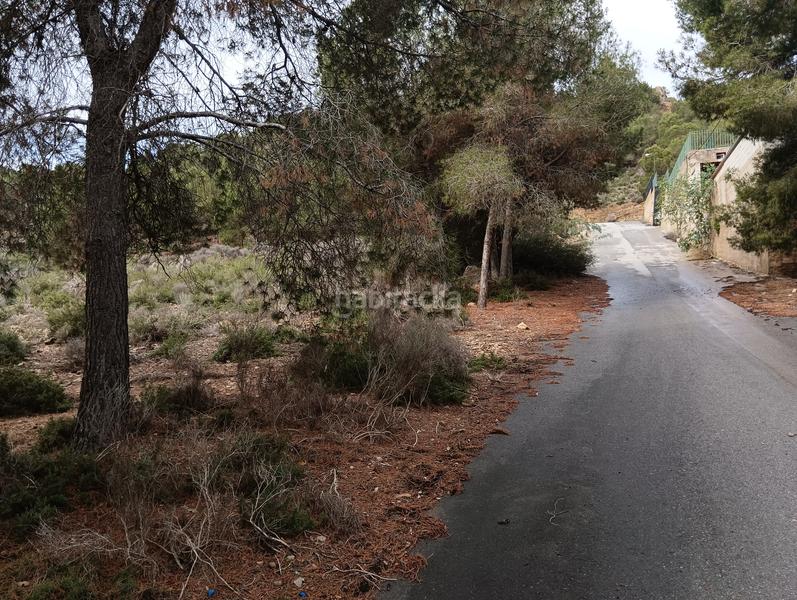 Foto 97bb4338-72c4-4bbf-b733-0cca202ed822. Finca rústica solvia inmobiliaria suelo urbanizable sectorizado esparragal en Murcia