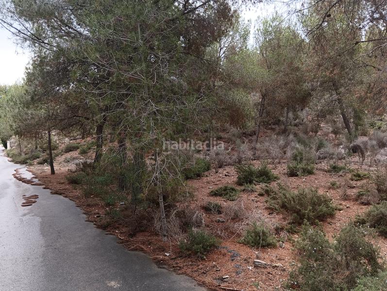 Foto a81a6e64-4ca1-4f28-9f20-da28c0a42512. Finca rústica solvia inmobiliaria suelo urbanizable sectorizado esparragal en Murcia