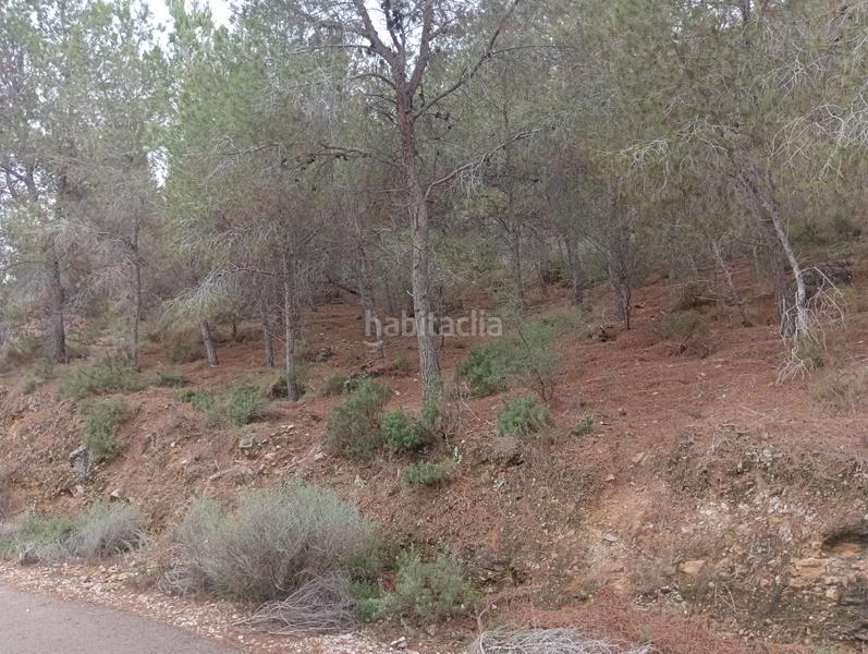 Foto aba525d0-0f80-4b30-a2a2-4a653883fec0. Finca rústica solvia inmobiliaria suelo urbanizable sectorizado esparragal en Murcia