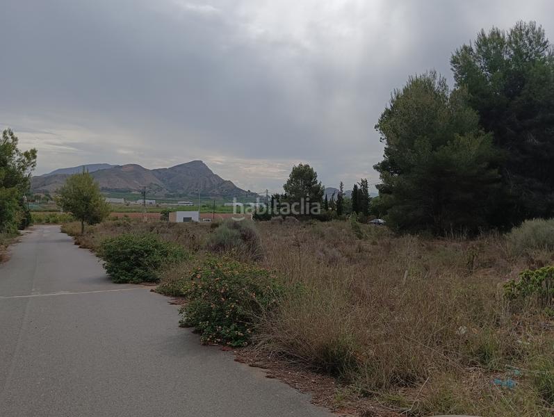 Foto aebce117-0ac0-43d8-881c-3072c7a597b0. Finca rústica solvia inmobiliaria suelo urbanizable sectorizado esparragal en Murcia