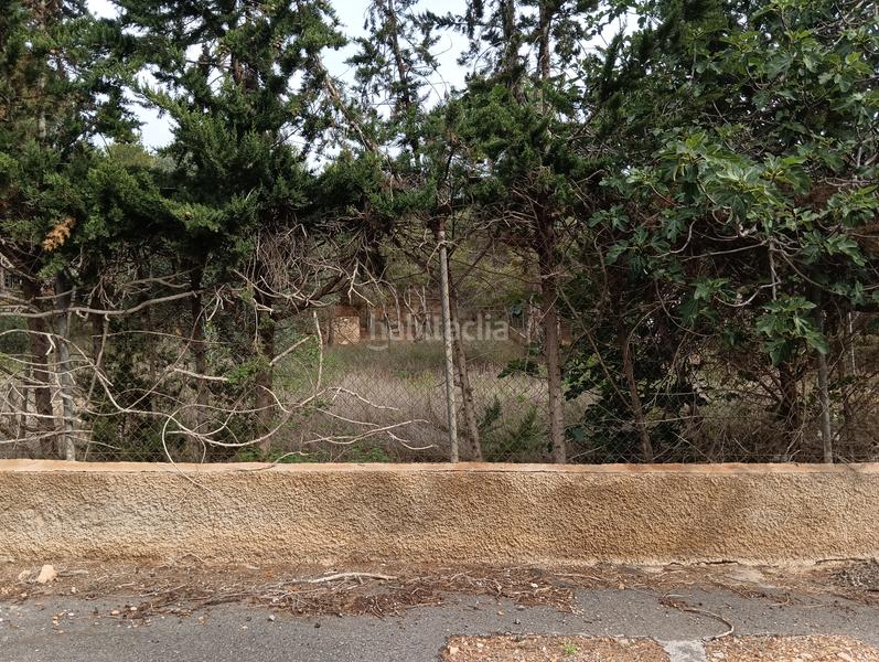 Foto afd05d4a-2199-49b7-bfdc-1d6b12c2e6bc. Finca rústica solvia inmobiliaria suelo urbanizable sectorizado esparragal en Murcia