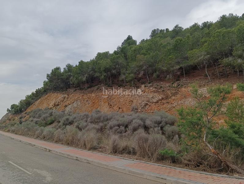 Foto bc78bca0-4d13-442e-be83-dfb9295559de. Finca rústica solvia inmobiliaria suelo urbanizable sectorizado esparragal en Murcia