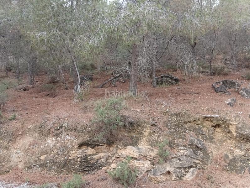 Foto ca358eca-374e-4f4e-881c-f6891af2c7ca. Finca rústica solvia inmobiliaria suelo urbanizable sectorizado esparragal en Murcia