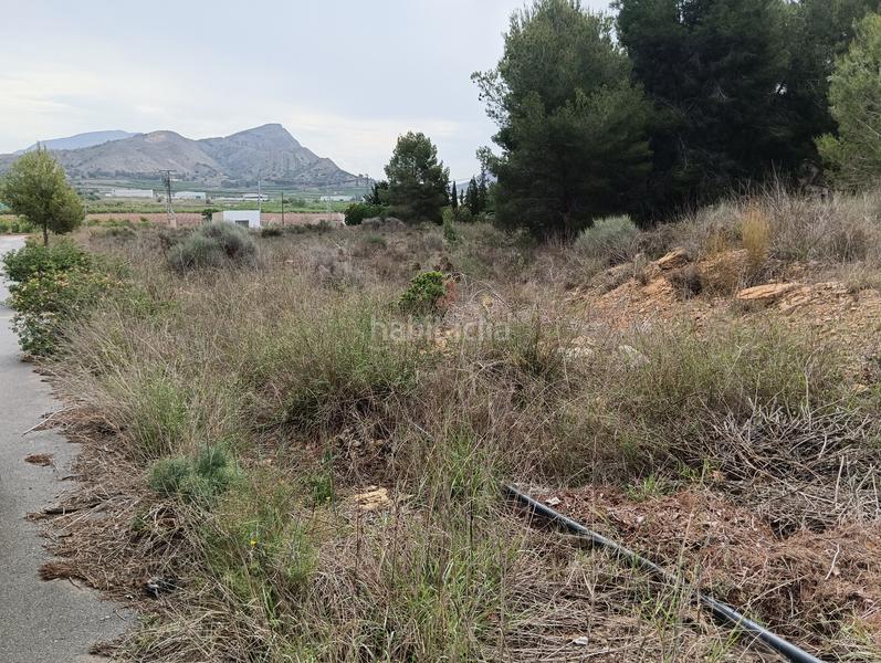 Foto cc90fa01-ffb9-449c-8969-1dedde15fdb4. Finca rústica solvia inmobiliaria suelo urbanizable sectorizado esparragal en Murcia