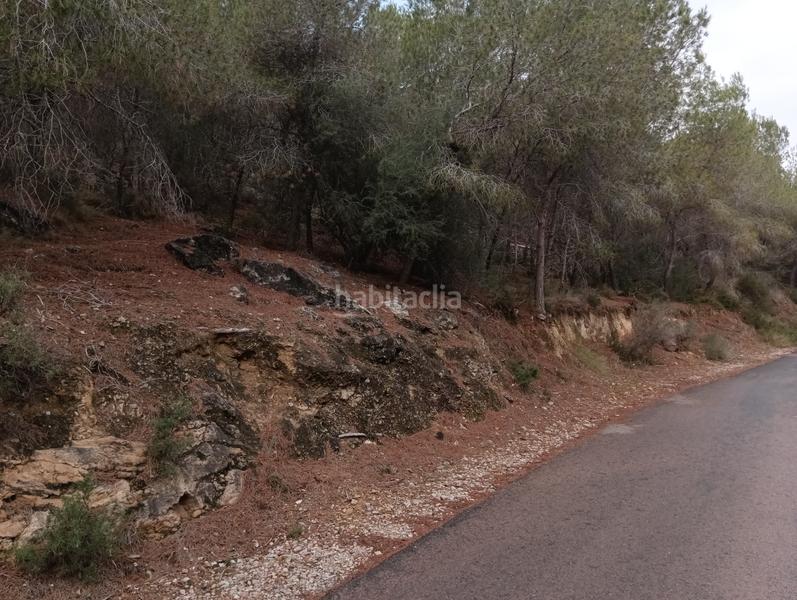 Foto cdd643b5-d5cb-4aac-9249-9660c18c15ea. Finca rústica solvia inmobiliaria suelo urbanizable sectorizado esparragal en Murcia