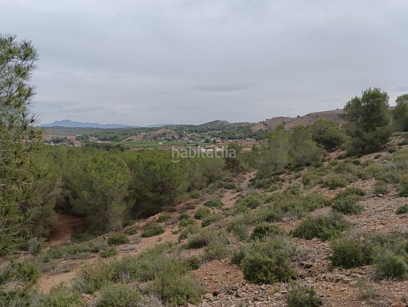 Foto dd93a103-48e2-4351-9279-414470fea695. Finca rústica solvia inmobiliaria suelo urbanizable sectorizado esparragal en Murcia