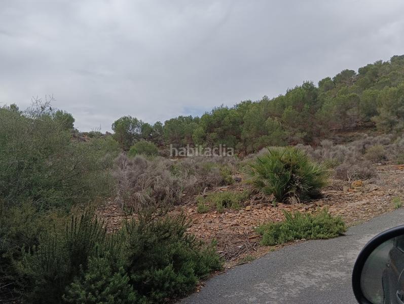 Foto df7b5c12-7cf1-4a2e-aa88-ed8de6c9b9b4. Finca rústica solvia inmobiliaria suelo urbanizable sectorizado esparragal en Murcia