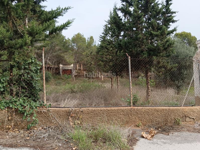 Foto e70a01cf-785f-4643-b088-7f3746faced5. Finca rústica solvia inmobiliaria suelo urbanizable sectorizado esparragal en Murcia