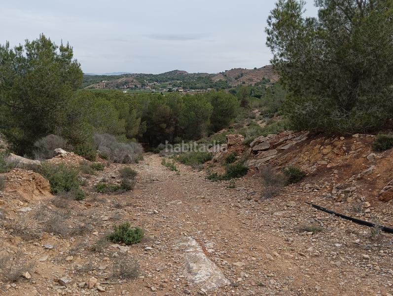 Foto e840c8ce-f9d0-4994-9b51-103382216fa3. Finca rústica solvia inmobiliaria suelo urbanizable sectorizado esparragal en Murcia