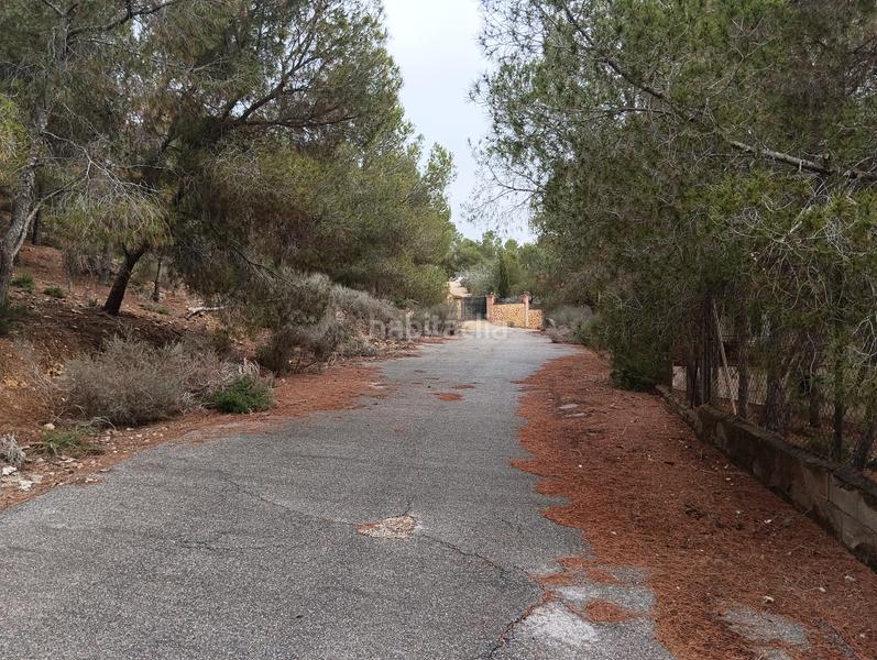 Foto f4439cdc-3b86-4926-8e35-447f71d3e0ae. Finca rústica solvia inmobiliaria suelo urbanizable sectorizado esparragal en Murcia