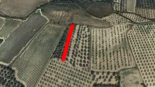 Finca rústica  Ptda cuencas. Solvia inmobiliaria  suelo rústico borja