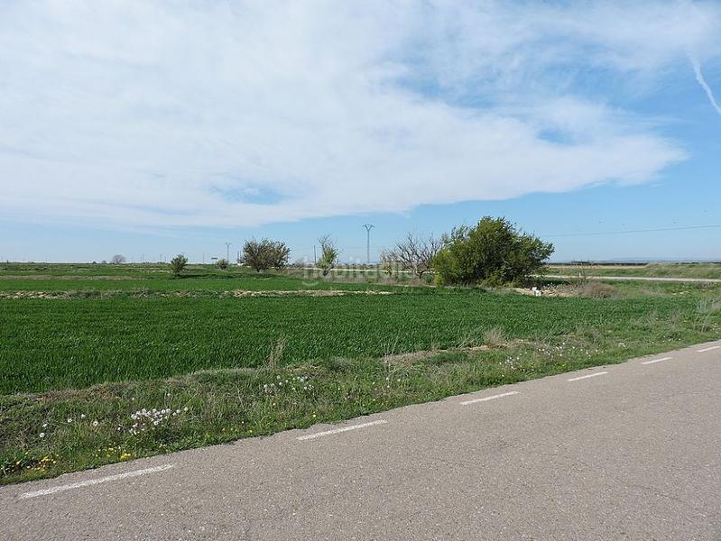 Foto bc7385d0-4073-48ba-8a44-cb413550003f. Finca rústica solvia inmobiliaria suelo rústico en Biota