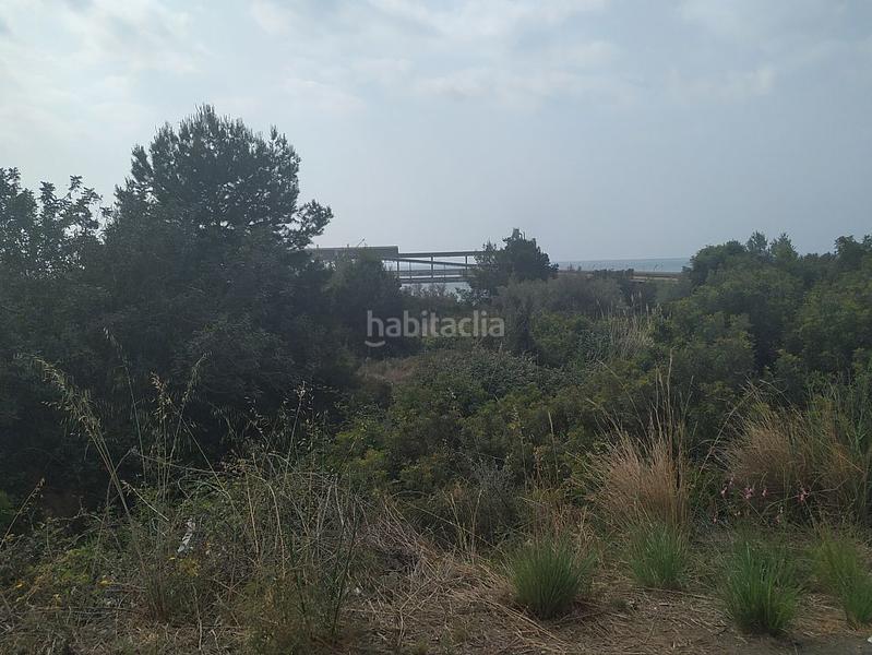 Foto 11e4afa5-195e-4147-b635-2dbc281f5288. Finca rústica solvia inmobiliaria suelo rústico en Alcanar