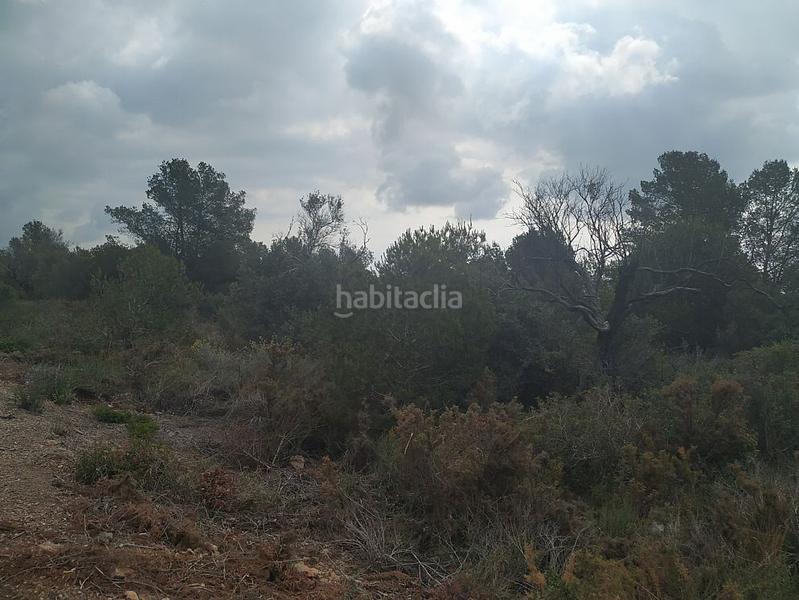 Foto 9cd46268-987c-421e-948a-46a666f8284a. Finca rústica solvia inmobiliaria suelo rústico en Alcanar