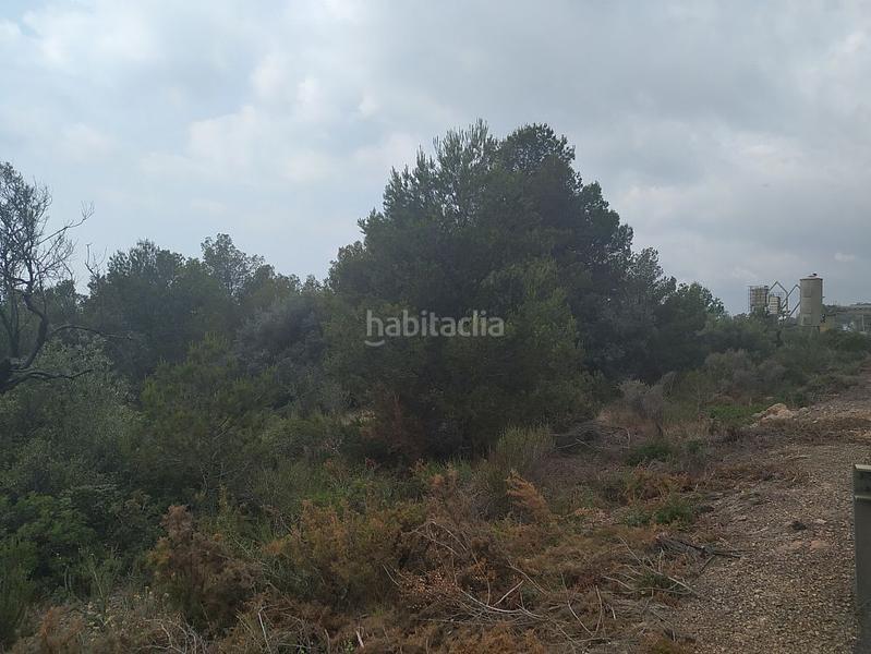 Foto b780826e-6df3-46d3-aa2b-6e19dfd915e1. Finca rústica solvia inmobiliaria suelo rústico en Alcanar