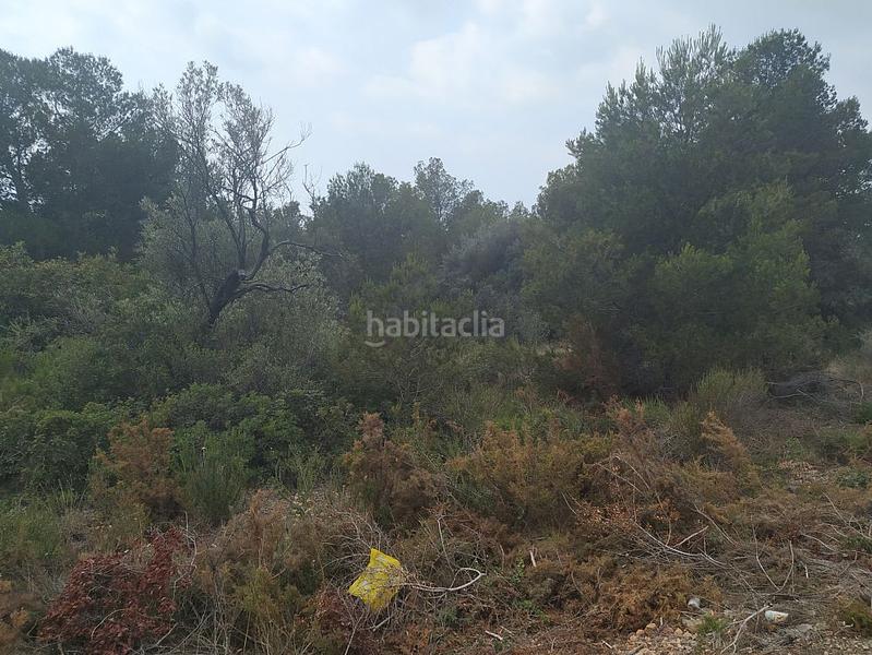 Foto beff6136-5bf5-4395-b1ec-eec3aedaf944. Finca rústica solvia inmobiliaria suelo rústico en Alcanar