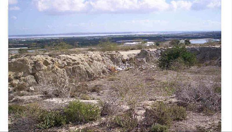 Foto db6c41d6-04a7-421e-b39a-9d54c0adcb9e. Finca rústica solvia inmobiliaria suelo rústico en San Miguel de Salinas