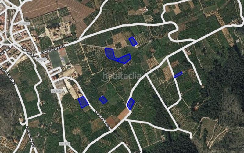 Foto 271fce52-1452-4691-be9b-59e29d0226ae. Finca rústica solvia inmobiliaria suelo rústico en Simat de la Valldigna