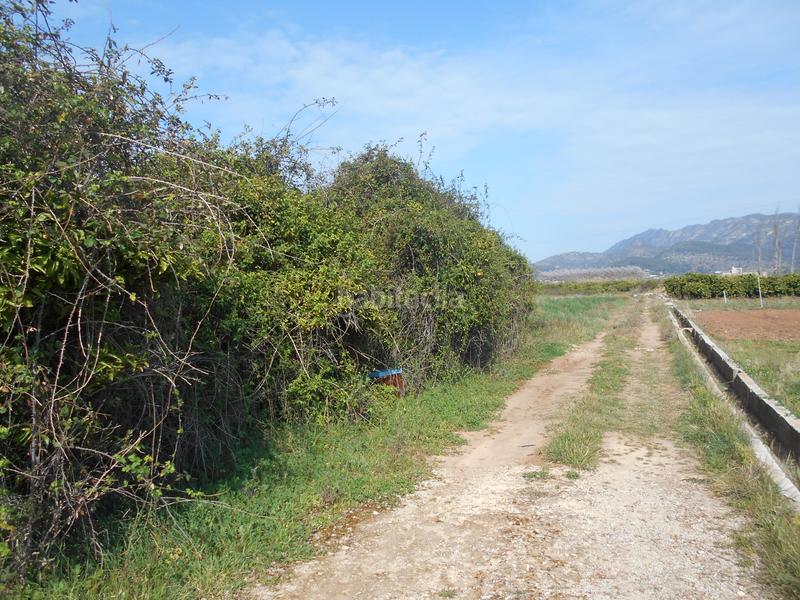 Foto 273a7234-9ee3-4bd0-b0be-56a9b81666b5. Finca rústica solvia inmobiliaria suelo rústico en Simat de la Valldigna