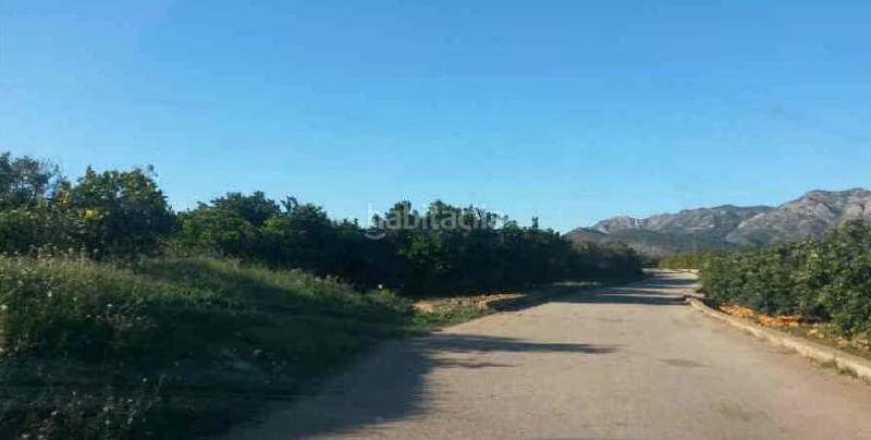 Foto 8daecaae-b585-4f79-b6f5-4ddae0634eb0. Finca rústica solvia inmobiliaria suelo rústico en Simat de la Valldigna