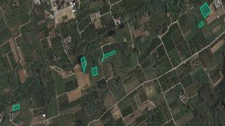Finca rústica  Ptda alquenencia. Solvia inmobiliaria  suelo rústico simat de la valldigna