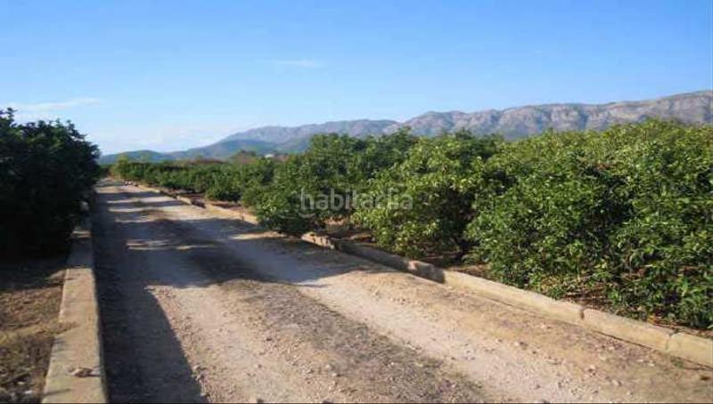 Foto 3a5ebd73-ec8b-4485-973e-dc8875c76f82. Finca rústica solvia inmobiliaria suelo rústico en Simat de la Valldigna