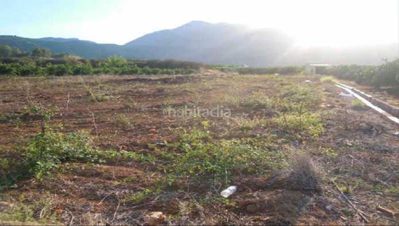 Foto 85dd2f8f-5c76-4d4c-8361-9904028a502c. Finca rústica solvia inmobiliaria suelo rústico en Simat de la Valldigna