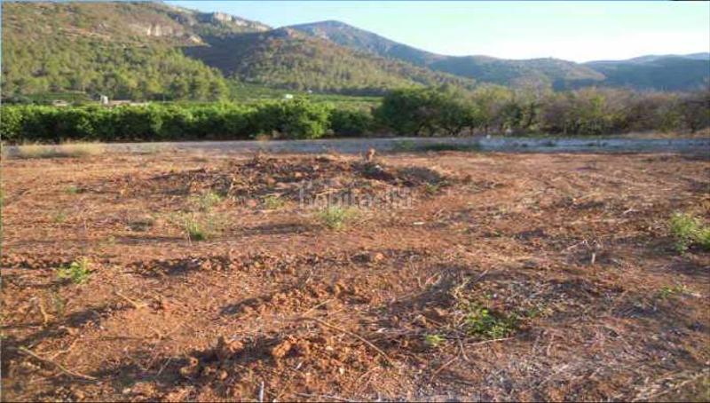 Foto 8a906807-8277-4eec-9b91-c313e9539453. Finca rústica solvia inmobiliaria suelo rústico en Simat de la Valldigna