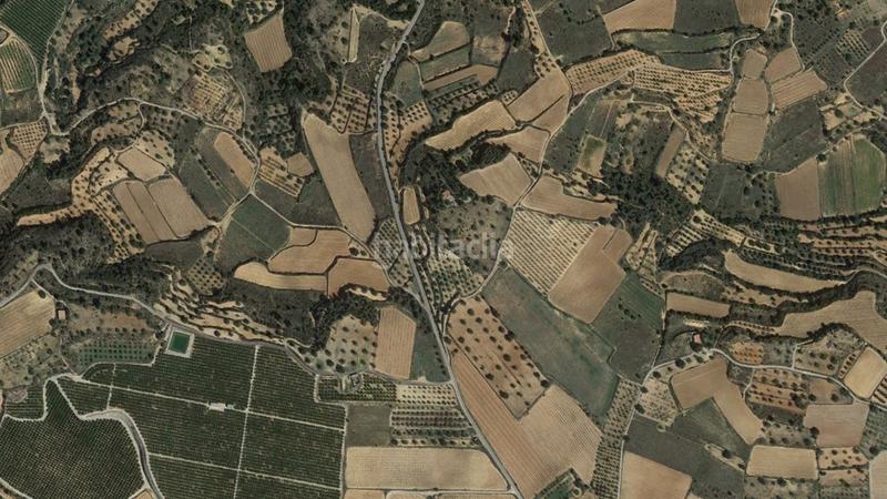 Foto 14fa0f68-72a6-4073-a734-78cfb668f59e. Finca rústica solvia inmobiliaria suelo rústico en Cheste