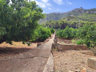 Rural plot  Partida de masalari. Solvia inmobiliaria  suelo rústico tavernes de la valldigna