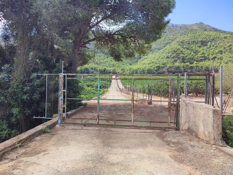 Foto 9743b069-2ae3-4046-8293-930f92f12759. Finca rústica a Tavernes de la Valldigna