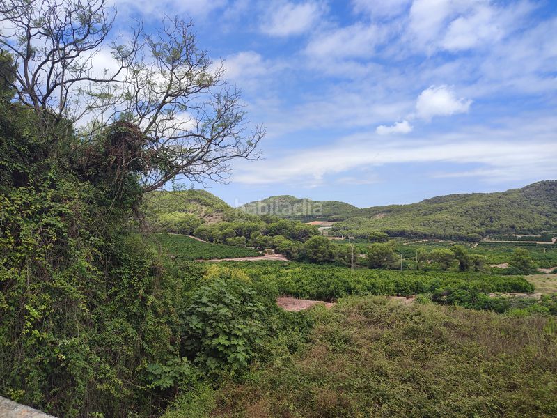 Foto d6d16ad6-a20f-4414-a414-7fc42af59a9a. Finca rústica a Tavernes de la Valldigna