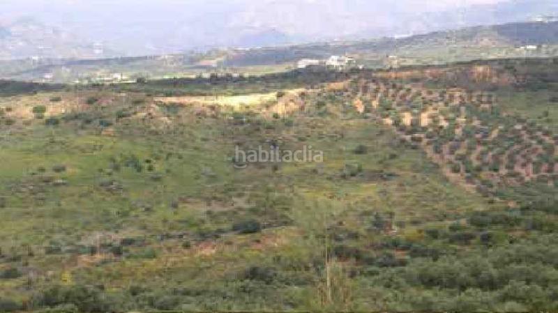 Foto 1af45094-9bab-4e1b-af79-04d218aaabd5. Finca rústica solvia inmobiliaria terreno con edificación en Alcaucín