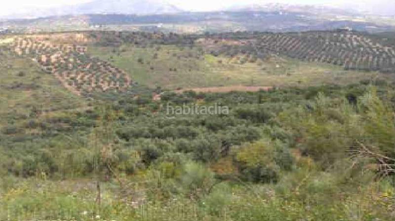 Foto 27fb45ac-9110-433f-9477-f2edf1bce843. Finca rústica solvia inmobiliaria terreno con edificación en Alcaucín