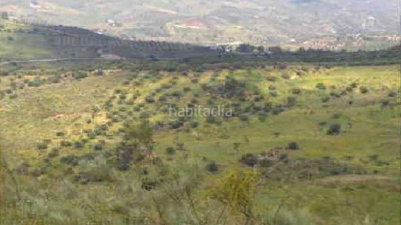 Foto 95beae17-3400-4274-bbe8-69a1b38b6a77. Finca rústica solvia inmobiliaria terreno con edificación en Alcaucín