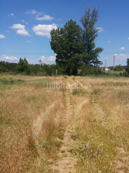 Foto 86cef4a9-c26f-423d-864c-c8e1745be44a. Fondo rustico in San Andrés del Rabanedo pueblo San Andrés del Rabanedo