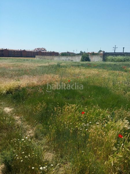 Foto 7e5d45e6-1238-43a2-8c41-762ba1b697c3. Finca rústica solvia inmobiliaria suelo urbanizable sectorizado en San Andrés del Rabanedo