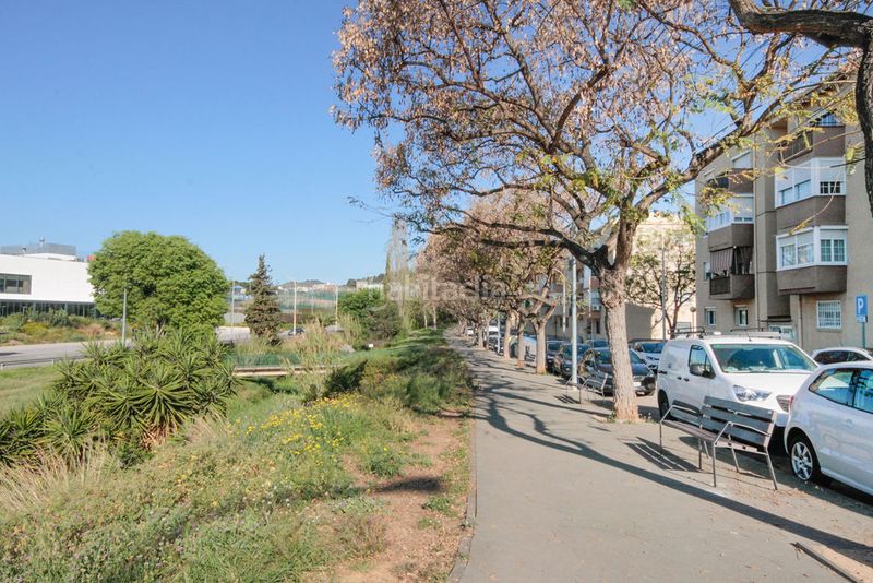Foto 702866d9-9e22-4251-ad06-bbe02531d1d5. Pis a Pomar Badalona