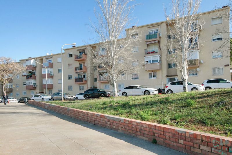 Foto b947511c-71f5-4bd8-9a2d-4db5b2a4263e. Pis a Pomar Badalona