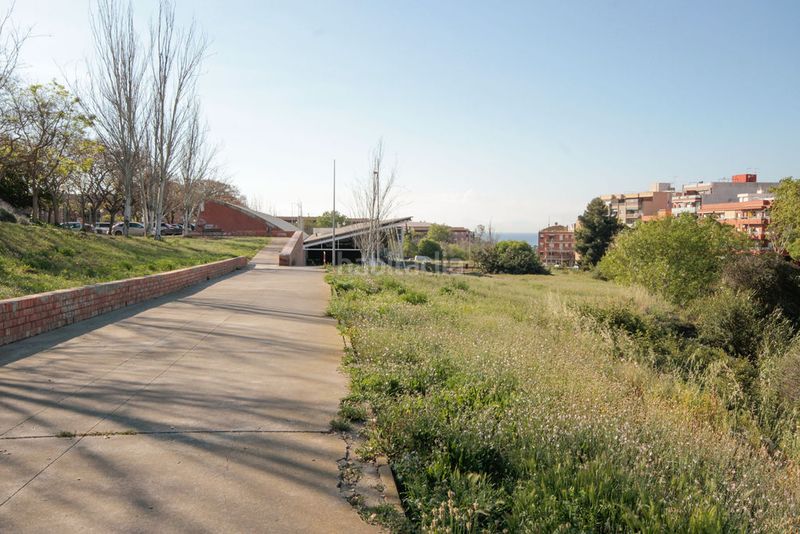 Foto bacefcd1-ecbf-4bad-b896-1a8455b68d7f. Pis a Pomar Badalona