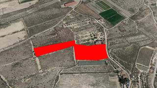 Propriété  Ptda sol del camp. Solvia inmobiliaria  suelo rústico agost