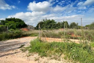 Finca rústica  Partida madrigal. Solvia inmobiliaria  suelo rústico villarrealvilareal