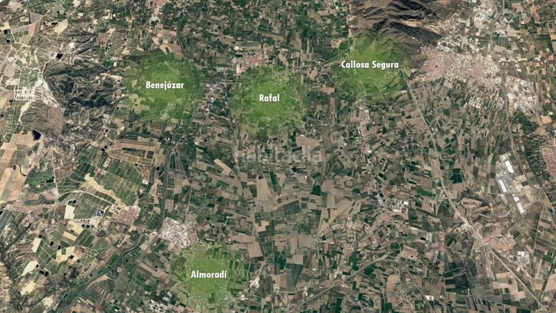 Foto 3043351e-6985-4e91-bc33-16aa639476d8. Rural plot in Almoradí