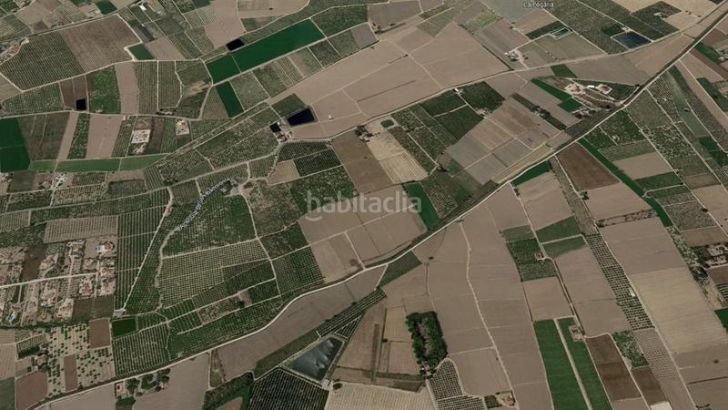 Foto dafcba75-c07b-49a5-9661-b08d67230f58. Rural plot in Almoradí