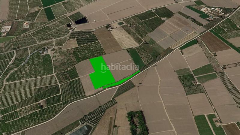 Foto fe981c1b-cd13-4403-92e3-420c195e2fc9. Rural plot in Almoradí