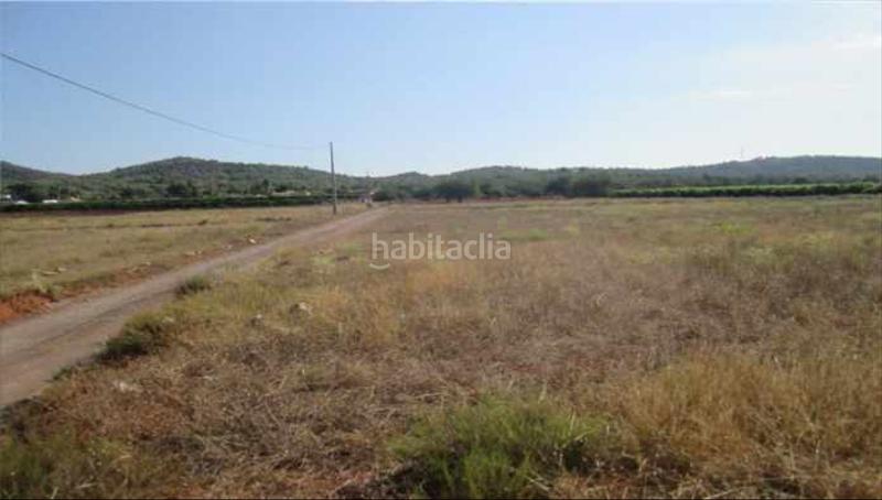 Foto a06278ba-e64d-46e3-a05f-5db0c3b41f80. Finca rústica solvia inmobiliaria suelo rústico en Vilamarxant