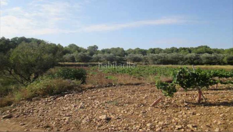 Foto 6fa3faad-8ab5-497c-8560-a6ec16ae6238. Finca rústica solvia inmobiliaria suelo rústico en Vilamarxant